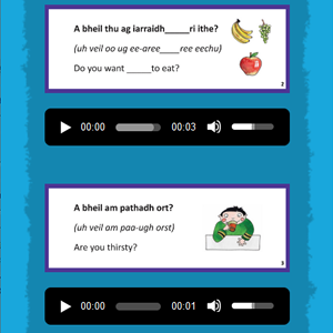 Flashcards Flashcards